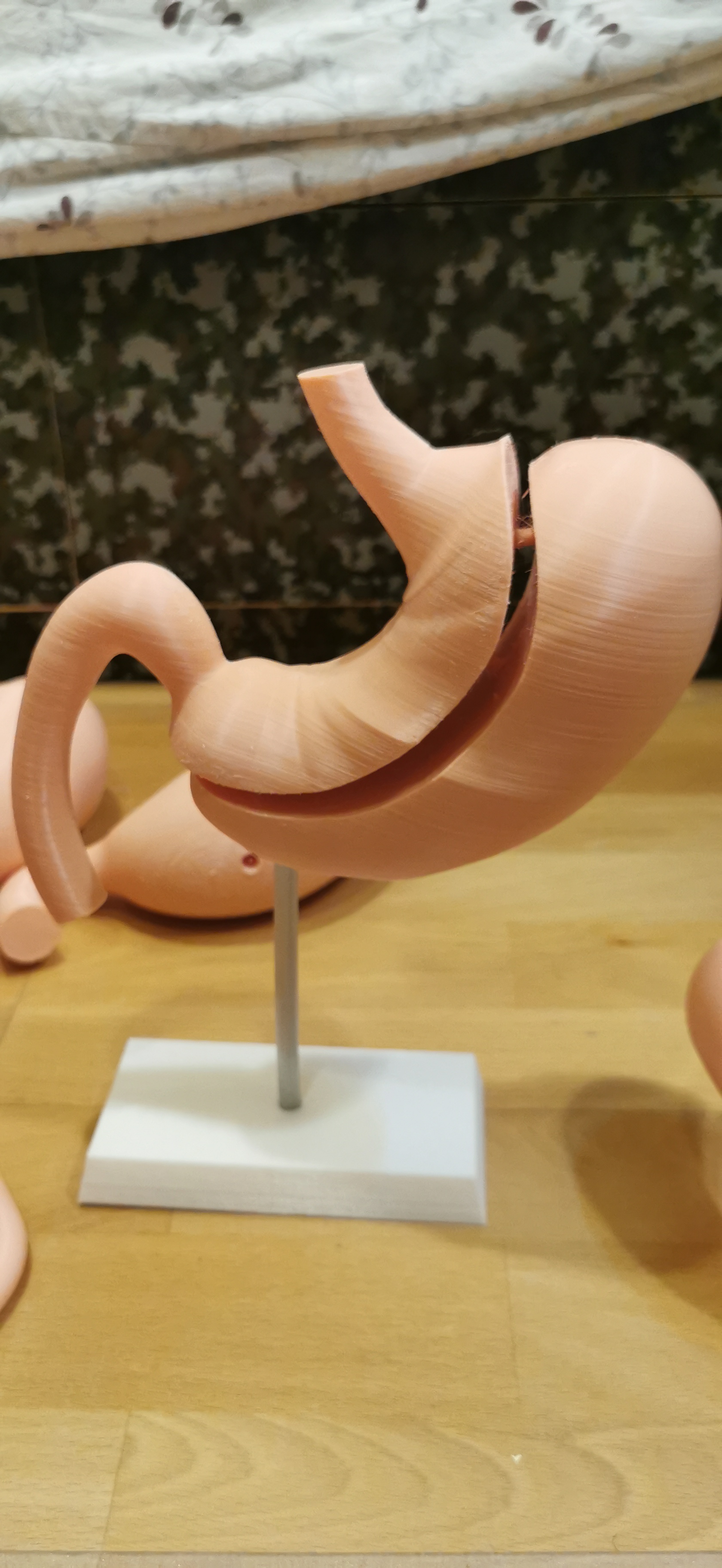胃模型設計-義大醫療財團法人